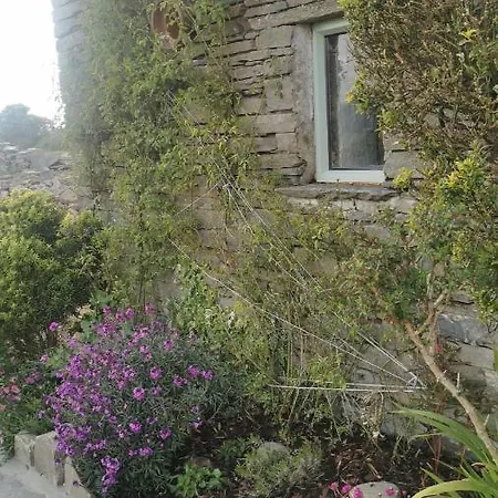 Rose Meadow Feriehus *