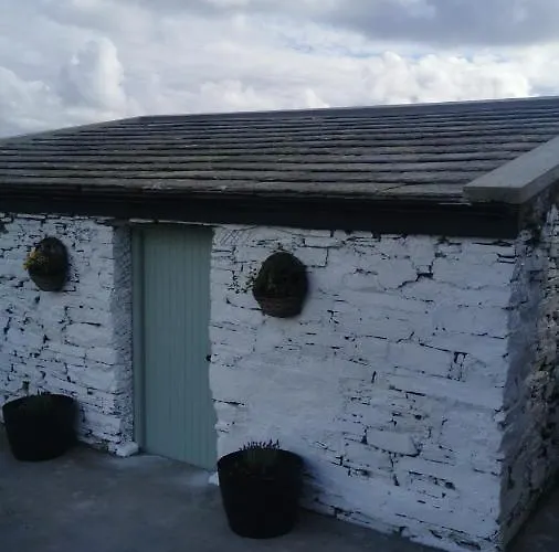 Rose Meadow * Liscannor