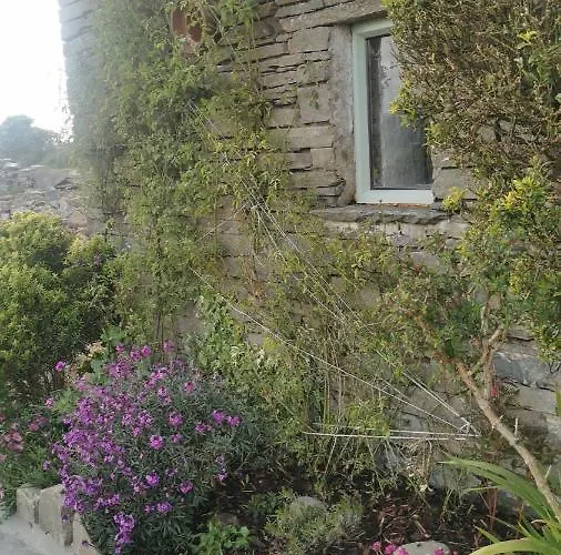 Rose Meadow Holiday home *