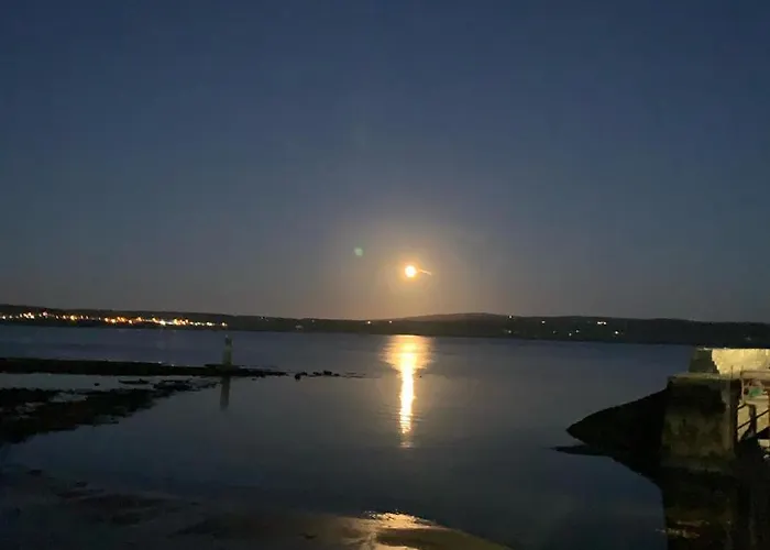 Rose Meadow 펜션 *